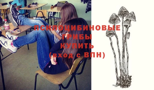 дмт Алексин