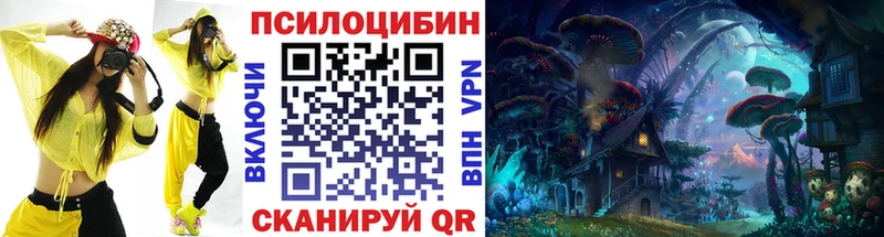 купить   Черкесск  Псилоцибиновые грибы мицелий 