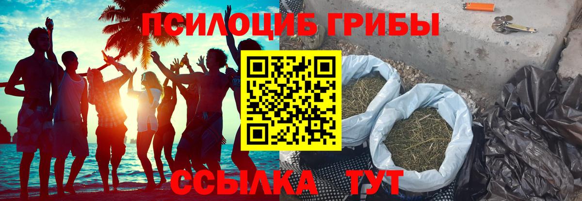 Псилоцибиновые грибы ЛСД Черкесск
